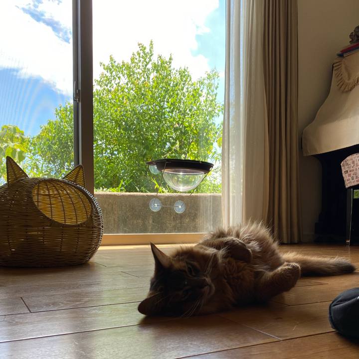 3b240071 05e3 4132 be15 f043560e0af4 1658468368505