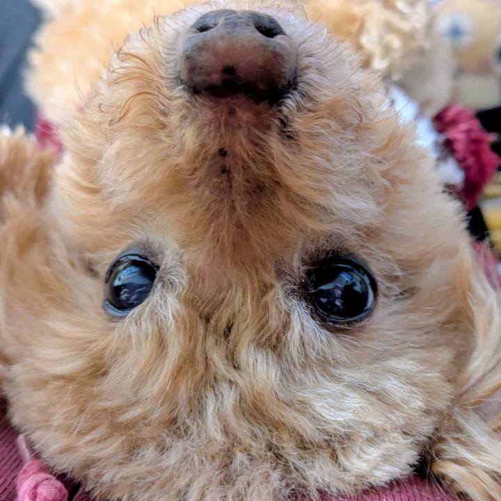 3b240f92 d6ab 463f 9e78 8d59f6e5269b 1766790696475