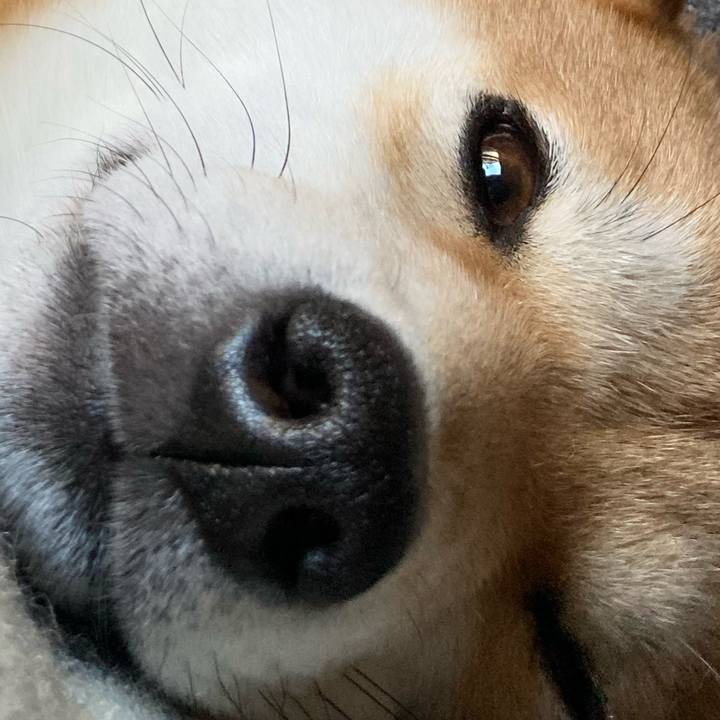 3b241533 2aa3 4a00 9c2b 6e8594c1d901 1640260479271