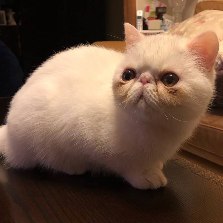 3b243a6a f070 4cc5 ae5a 741add5e4d59 1553421434090