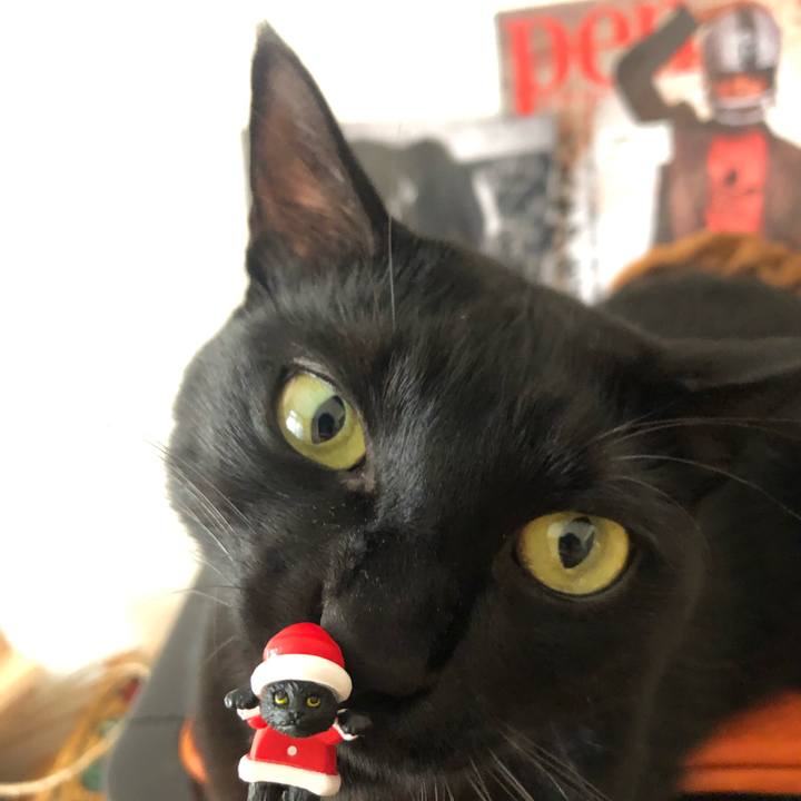 3b24aee0 d67f 4b21 843d 6263cecea3c1 1575762527691