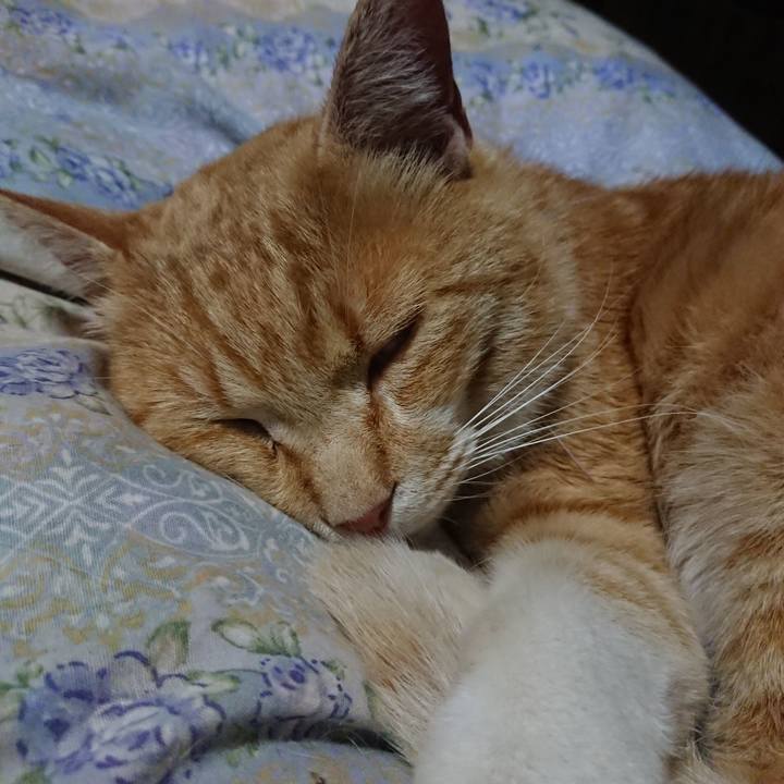 3b24bdb6 c7e9 4f7c 95d3 ed6b8848414a 1588941309737