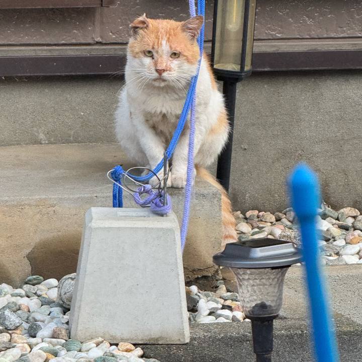 3b24d5c4 1eab 4971 8d68 bf0f1abc1de4 1758416172387