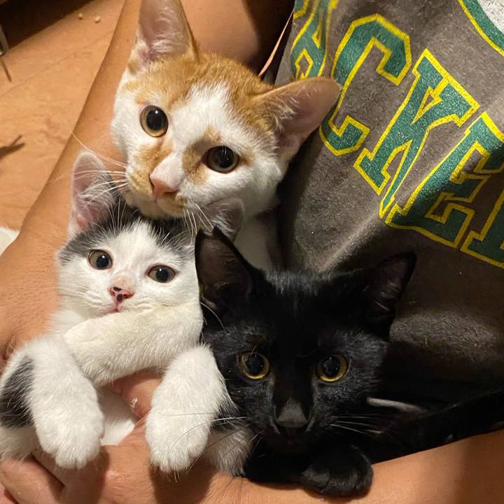 3b251db4 bb1c 41bb 92af dcac2dc942a7 1759916609289