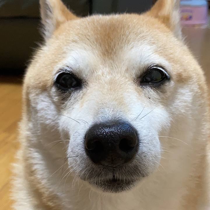 3b253107 757b 4be9 9eaa f0a86bd13119 1633091564865