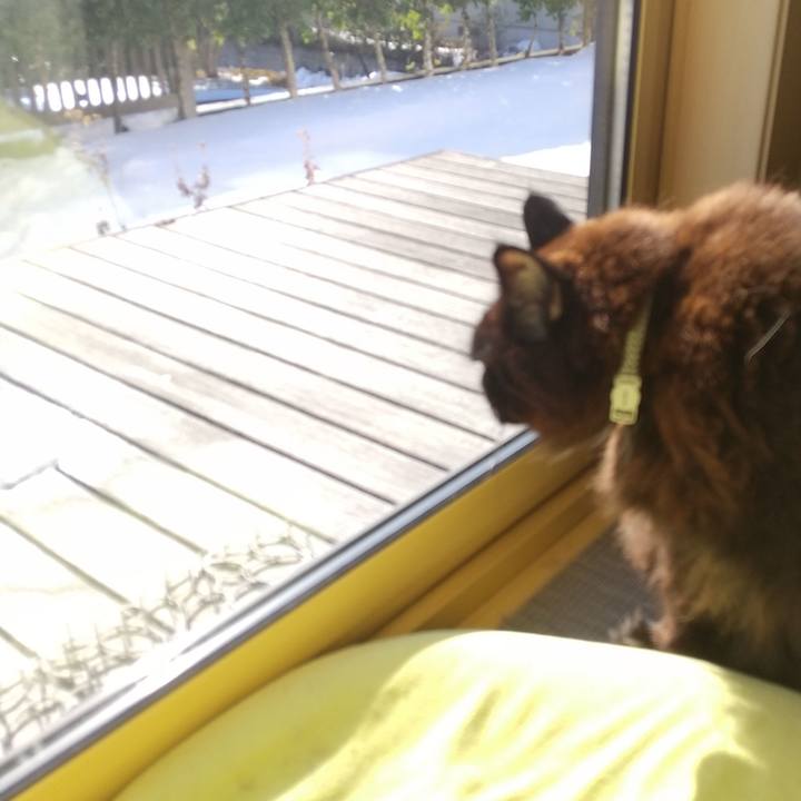 3b254d15 15d6 48eb b0ef 839a5005cc70 1676090845515