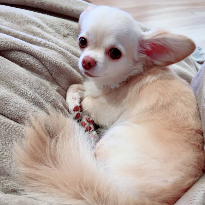 3b256110 2663 41fd 89a4 2ead88bbb502 1688380505913