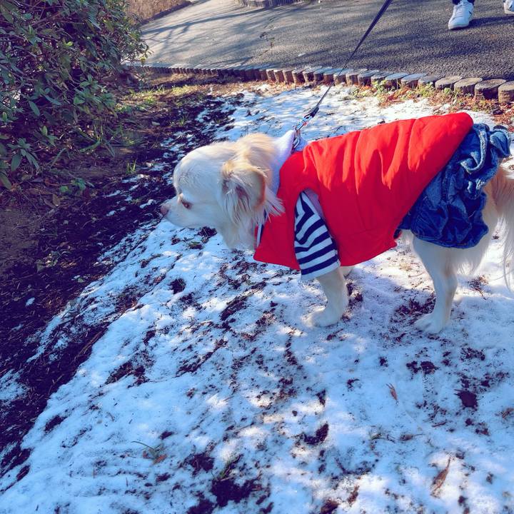 3b257399 d2dd 4f01 9856 baf69de2c264 1705225091324