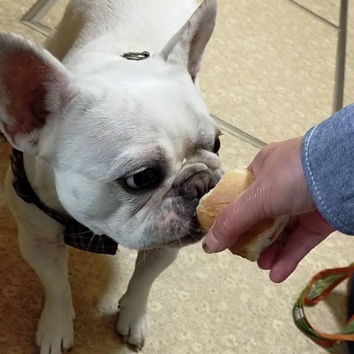 3b25cb52 c753 43c5 9d2a 72e32f8cd045 1652681289093