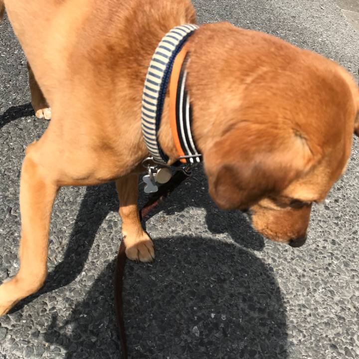 3b25d1eb 1518 4291 a7f5 8448a37c2cff 1525055560833