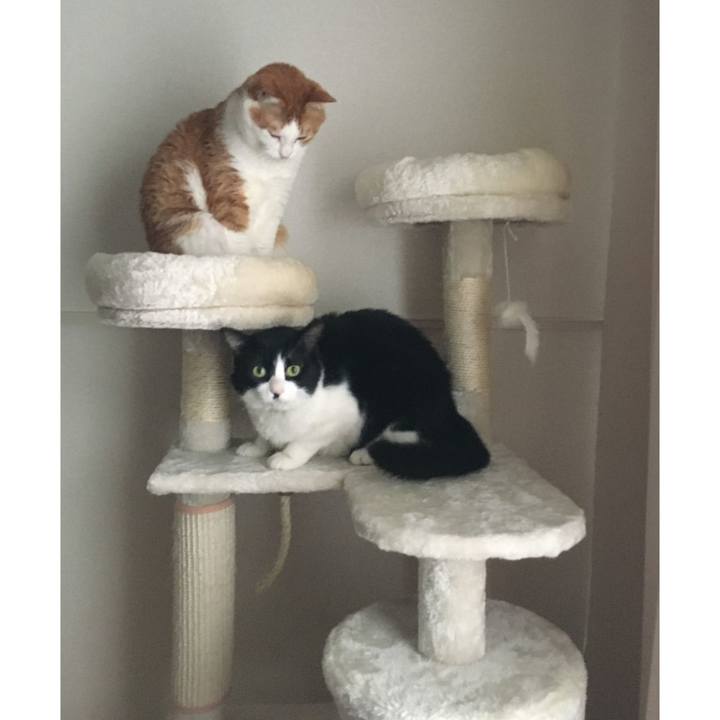 3b25e13b d380 4a89 96c3 e68e1f4551cb 1584233286773