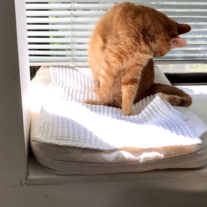 3b2622db ed1c 49b5 8e4e e0761fd5b69b 1599285087122