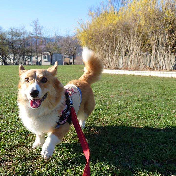 3b26636a a62e 4fe9 bc4a 8105fadb2b84 1776297256474