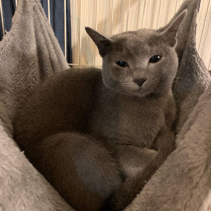 3b266e89 8e72 4646 bf3e 4cf5d981e0fb 1575970917899