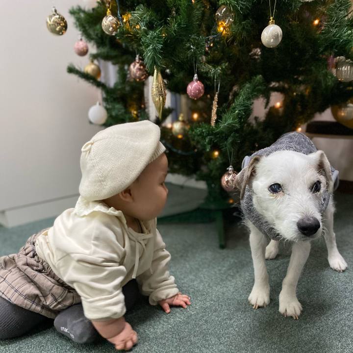 3b269a9e 2de5 413c 80da 1b1304e42437 1608729682741