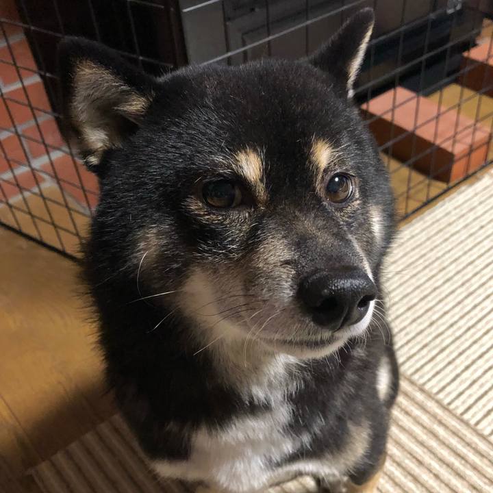 3b26adde ad0a 4337 811c 369b7d5db9d8 1573643007585