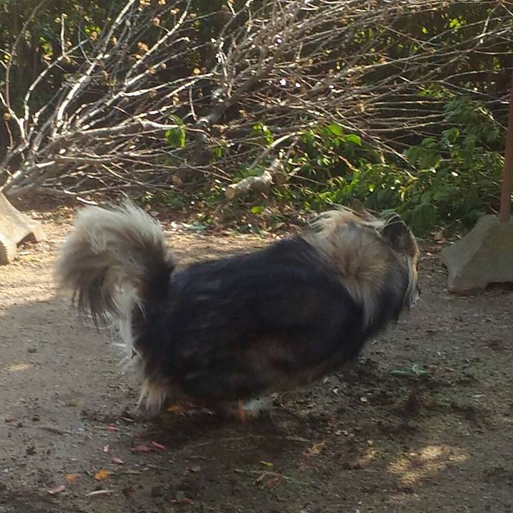 3b26b8ab ac4c 4267 98e8 1acda272365b 1545378358975