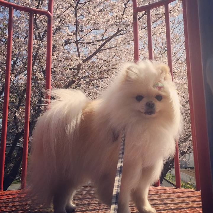 3b26e207 8769 4a6f bb49 bb57628101b5 1585881499375