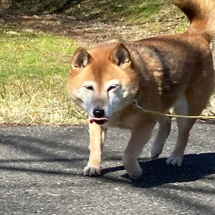 3b26ffac 50fe 481d ba81 0ab5ad96320d 1646029442602