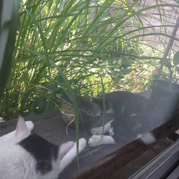 3b270df2 cfad 42e3 b121 6988682eae53 1658913786036