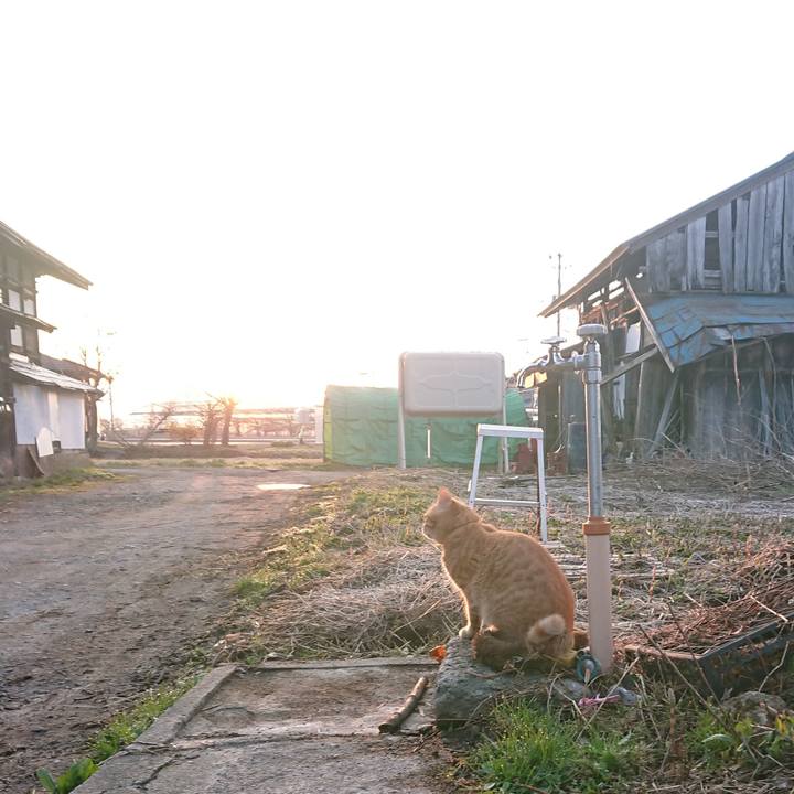 3b271458 174f 4802 93f5 eb9590ca812d 1650228728756