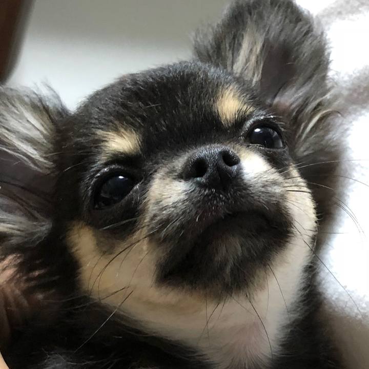 3b272c1a c635 4059 b592 5934772c4d9a 1536585425813