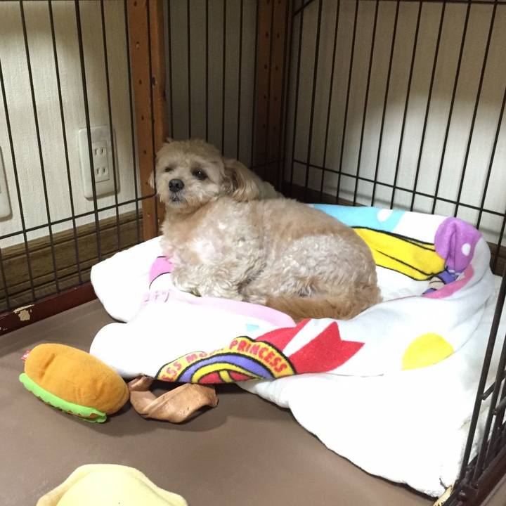 3b2739ac 3c6d 4ab9 9b88 d49de299ad36 1571572343016