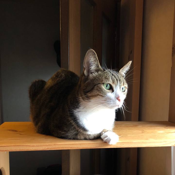 3b274fc6 6db2 41ed 8a7c 26e2eae362ff 1622439756275