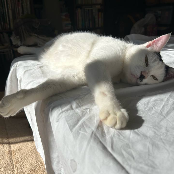 3b2761f4 41b0 4b8e 91cd 32b8e600ecba 1735801221989