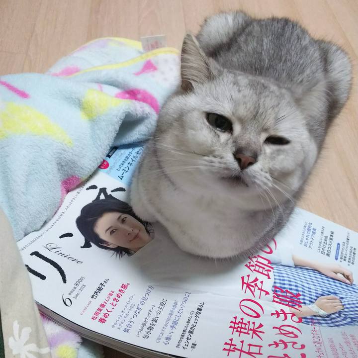 3b2771b5 57b5 4725 a67f 0c2a68663def 1524823841888