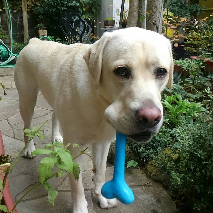 3b277b38 fca4 4df7 8502 ce72ef467411 1510717607012