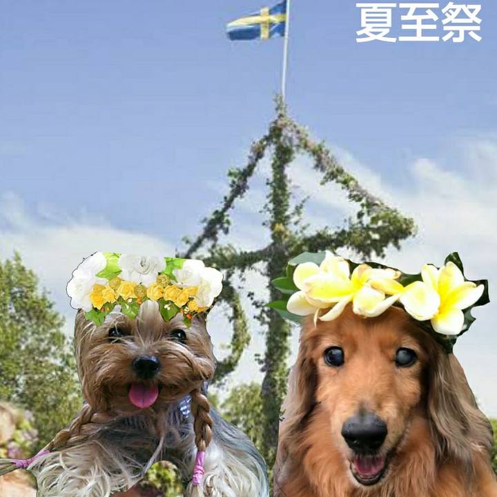 3b277bea 7e58 4308 9a7f a98031990d19 1624276706024