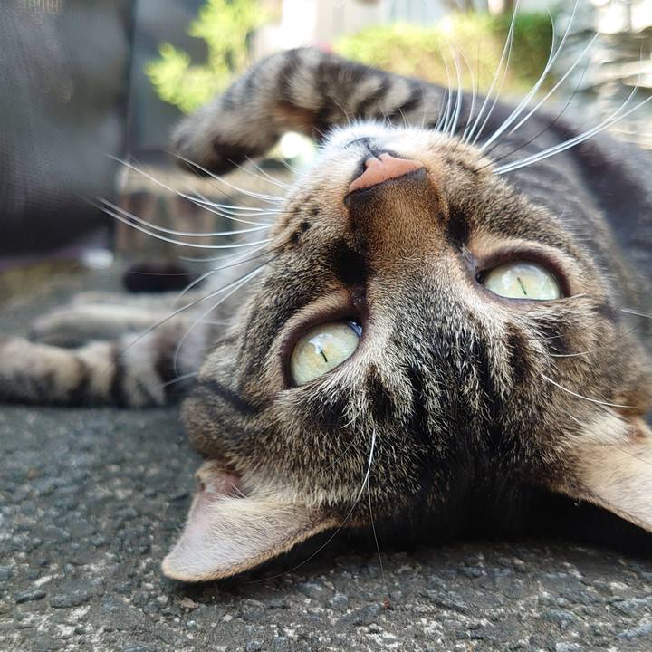 3b27b1c3 6be1 4ae5 901e 318100bf3116 1660895415547