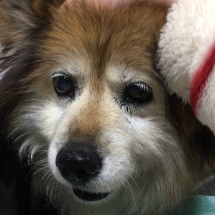 3b280799 1f30 4748 867a dff6a5816799 1548639881984