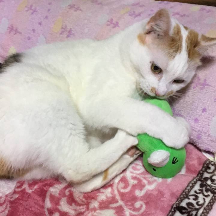 3b28196c a321 4983 a2c4 841af4b01143 1551693850760