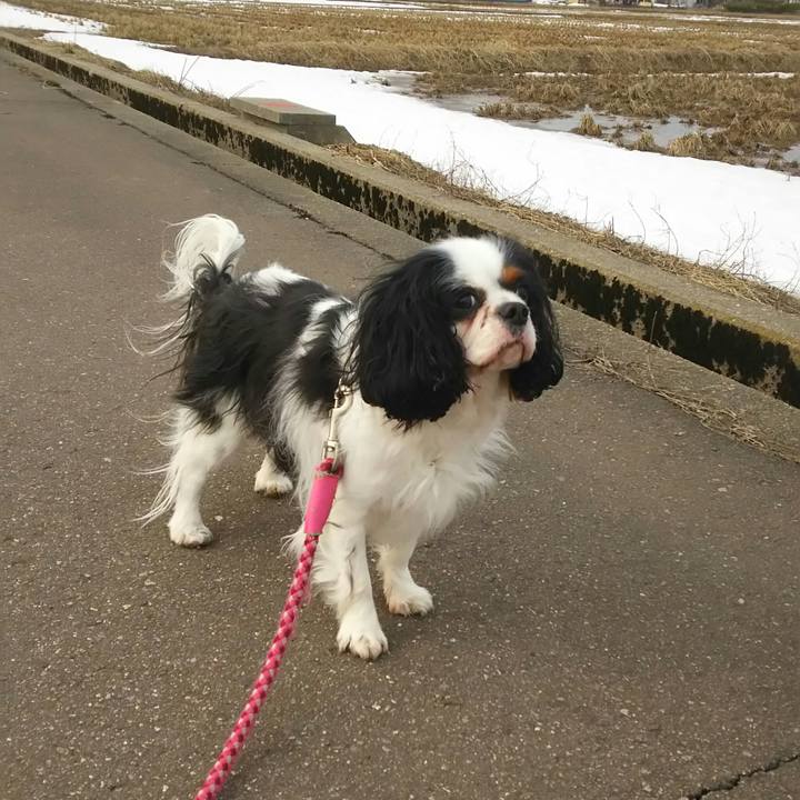 3b283cd0 4951 4d1c 9588 0420ccfe3634 1519538459159