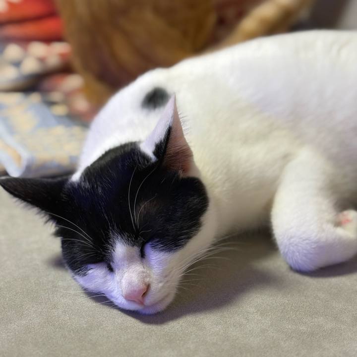 3b28749c 2126 481a ad5d afc64b78500b 1765408625275