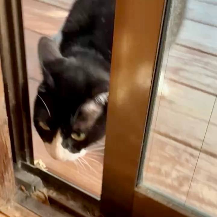 3b28b949 ba60 4a6e 8e5b 433a6269369b 1753965586619