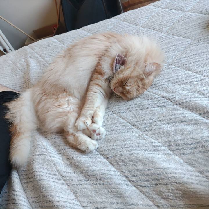 3b28c626 406d 48e0 ac31 d19d85936885 1718179738172