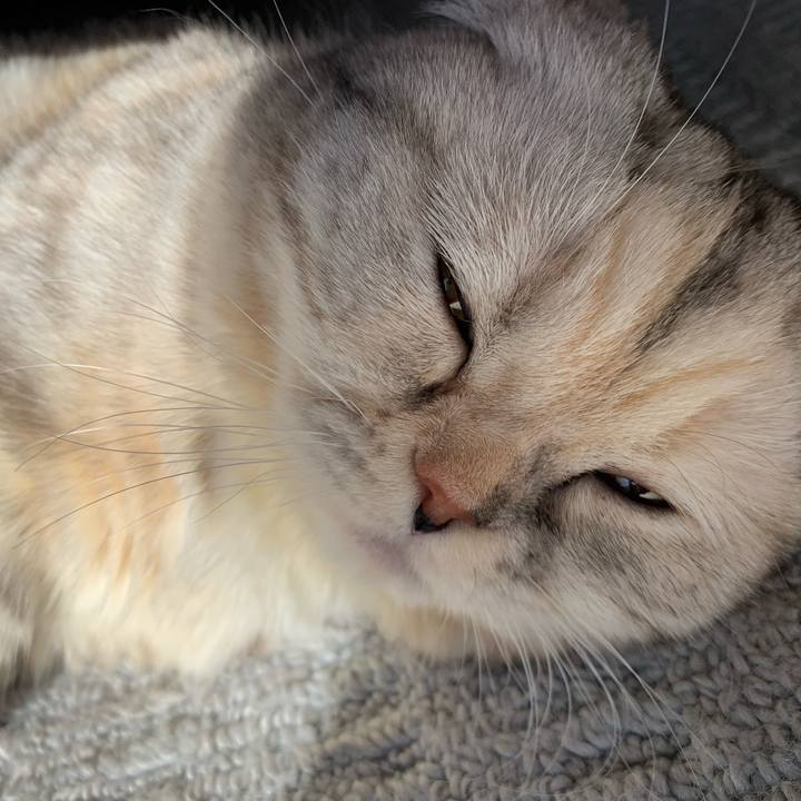 3b28ed35 30f5 45f2 99ed fcd90a9dd32e 1705198421726