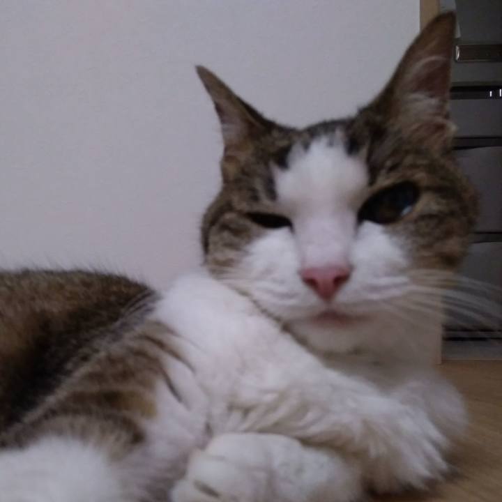 3b292203 ec44 45b5 b586 0ed03122d2ea 1528087716355