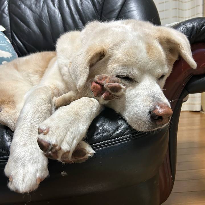 3b2965d0 0e6f 408d 91e0 d915a2840765 1739357028562