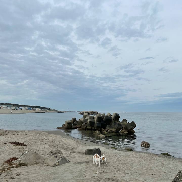 3b298edd 5afc 458e b315 3e7b68526493 1620948968788