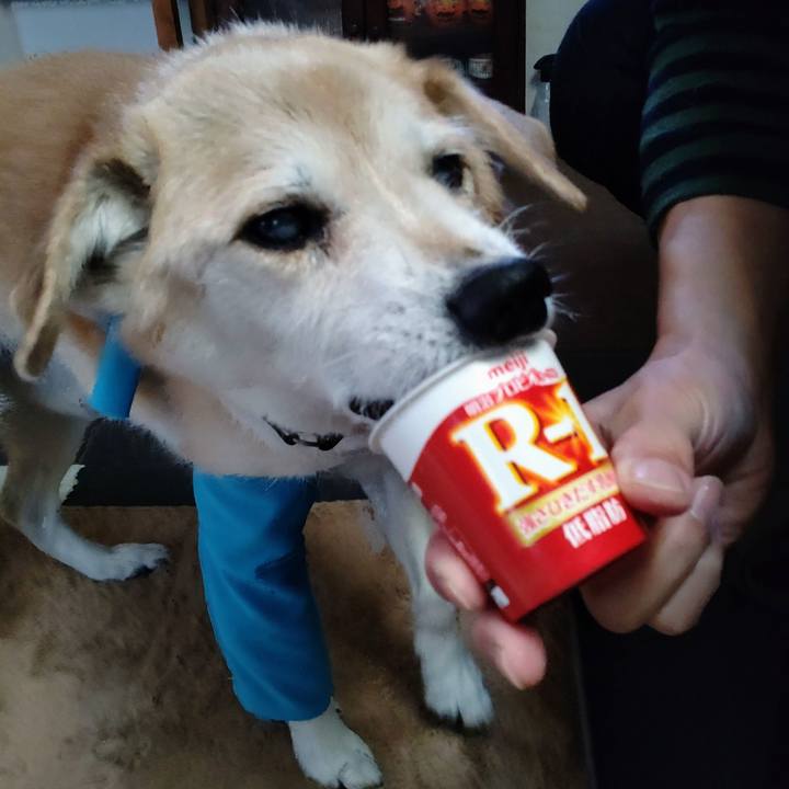 3b29a3f1 5138 47b5 ad3f 7f1cd0b7ac20 1673251126404