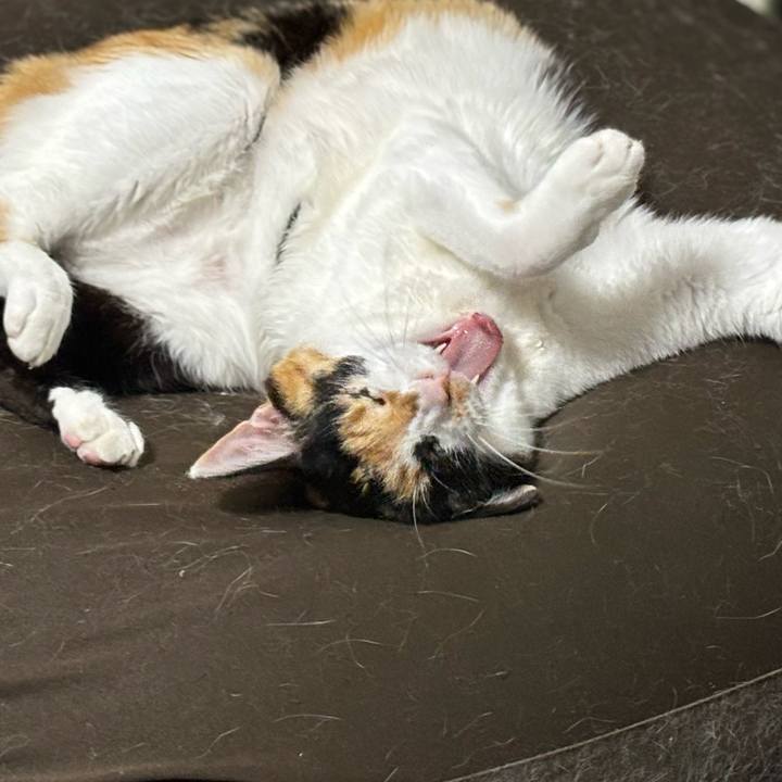 3b29b435 ce93 4b7f afe4 511062c8ec07 1776630898785