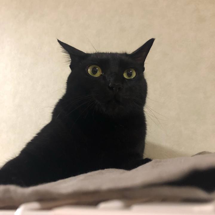 3b29cd36 8604 4eac 8117 c071c6bbb6d1 1561125300181