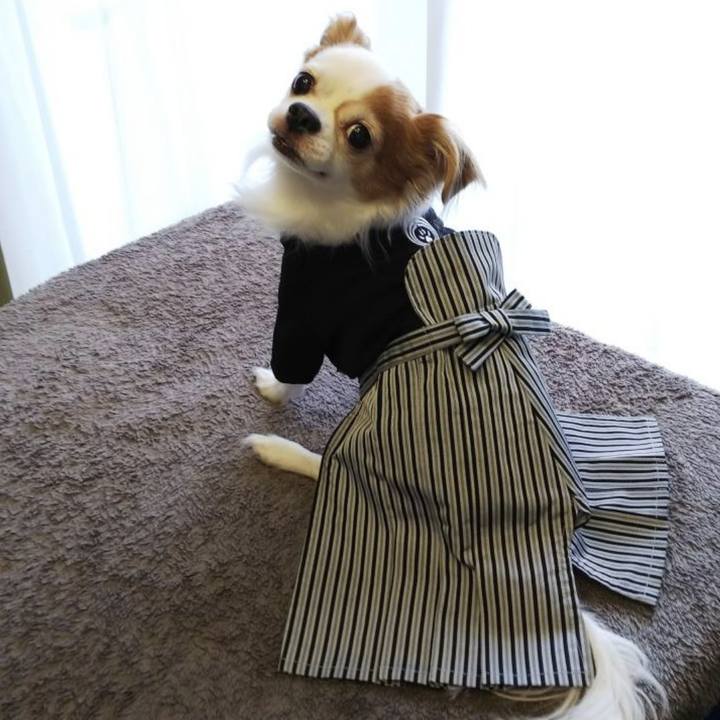 3b29cf2f 1a46 4d17 87bd eadee9b813df 1704035748135