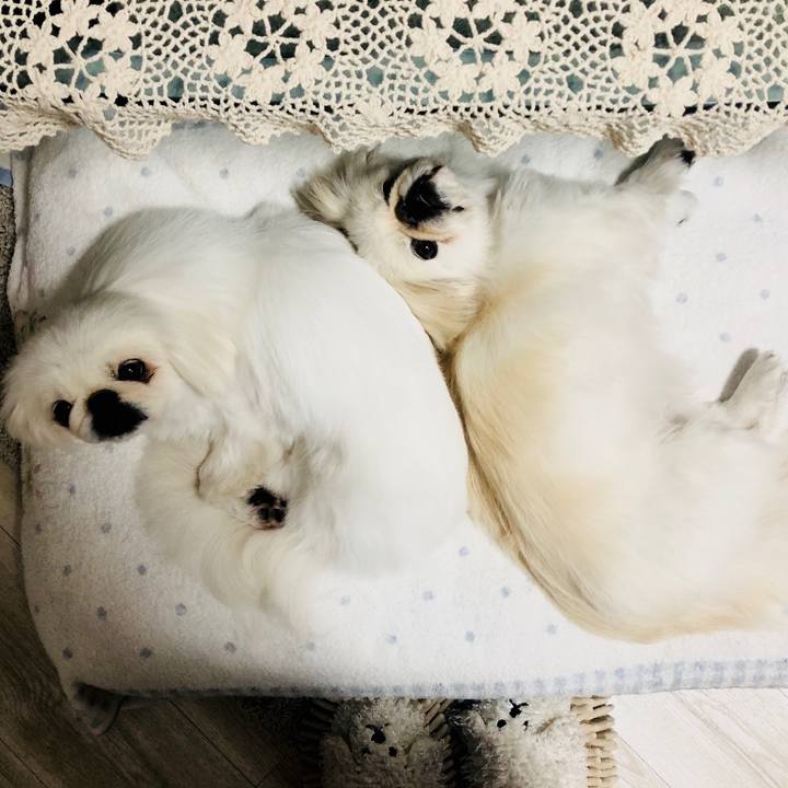 3b29e0cc 843f 4046 9e90 47a6a5665dd0 1588418588823