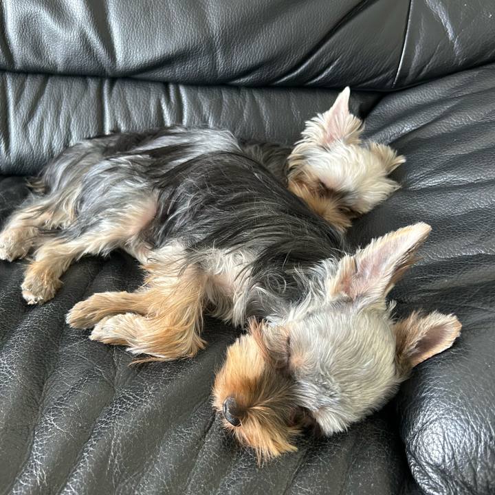 3b29ea00 d268 4ca5 8435 b5c3a8d01e78 1726292758934