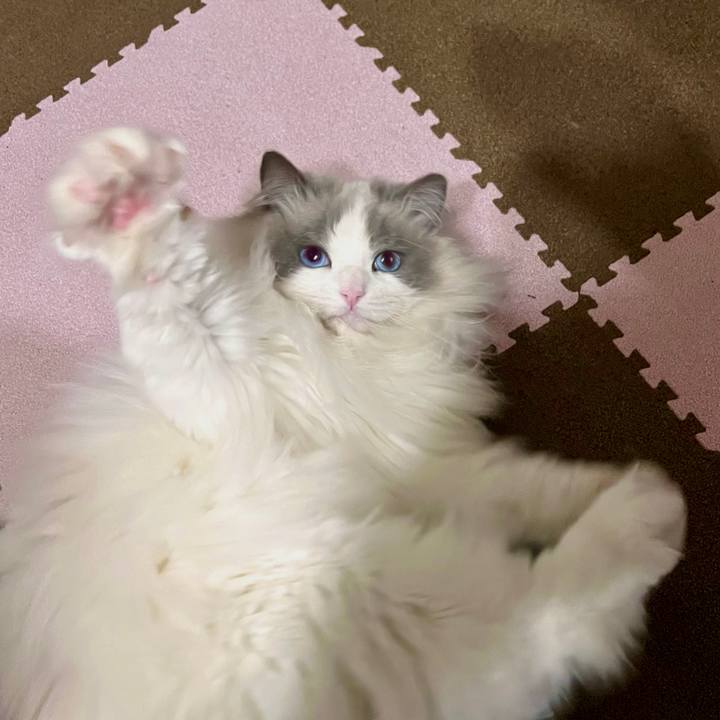 3b2a3468 5fd2 4f2c 927a 6a6c5760145c 1677412367125